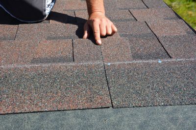 Asphalt Roof Repair - Inspection