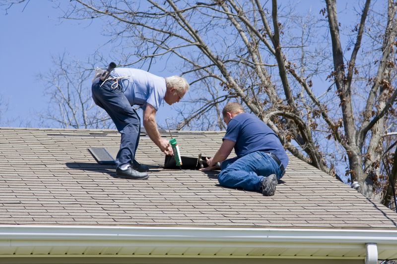 Asphalt Shingle Repair - Professional Service