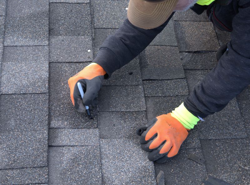 Shingle Repair Experts